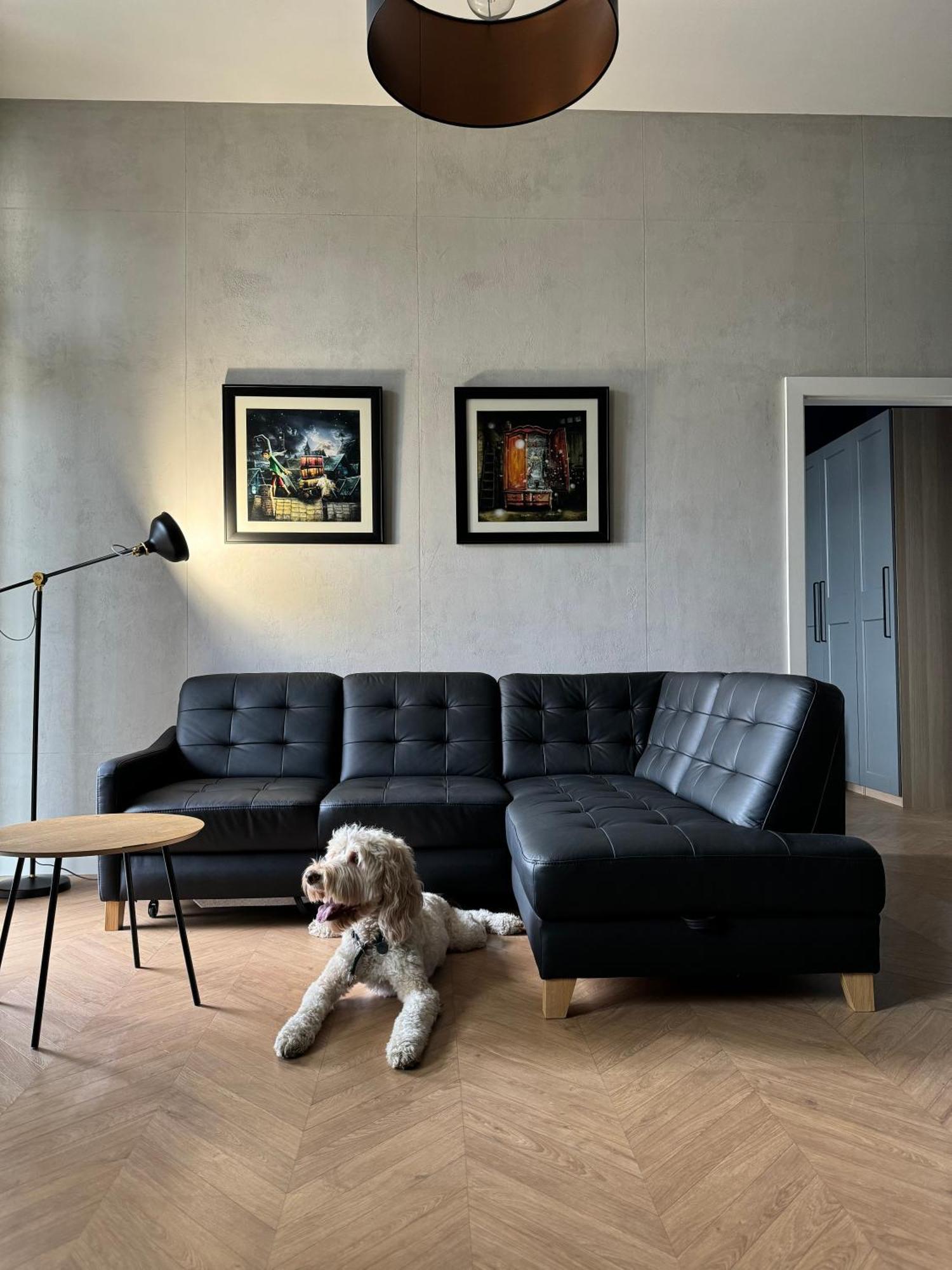Apartamenty Lemon Pepper Jelenia Gora Exterior photo